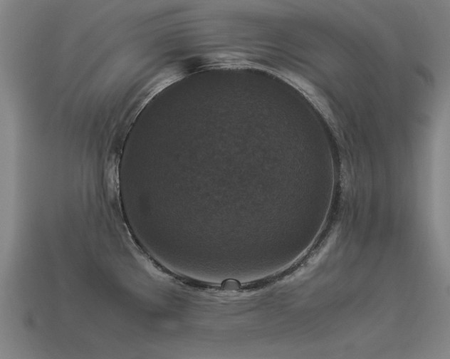 X0000113951289200909251331