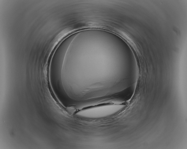 X0000113951291200909251331