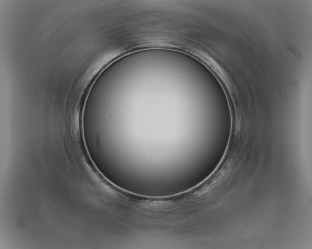 X0000113951293200909251331
