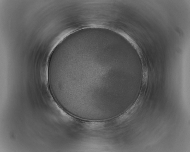 X0000113951294200909251331