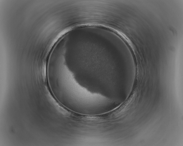 X0000113951295200909251331
