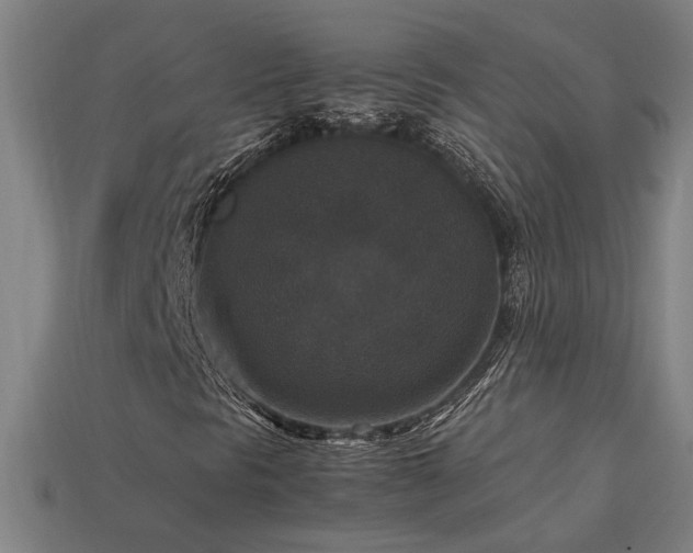 X0000113951297200909251330