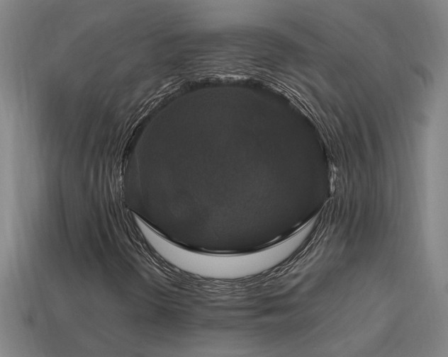 X0000113951298200909251330