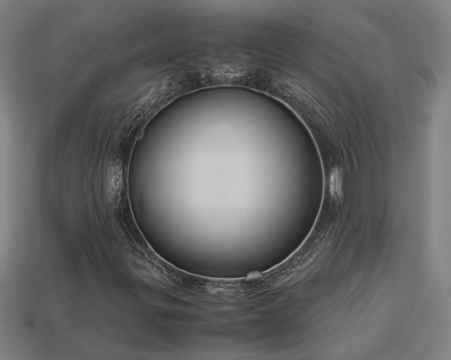 X0000113951299200909251330