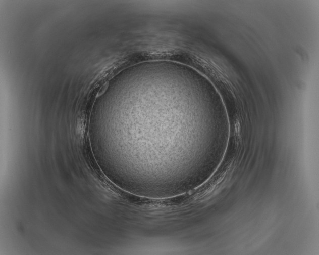 X0000113951300200909251330