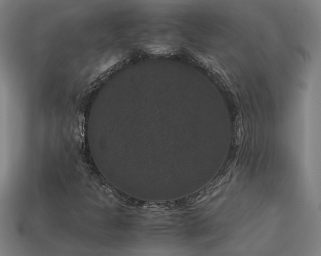 X0000113951301200909251330