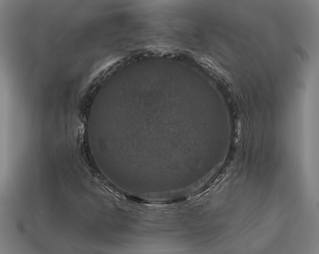 X0000113951302200909251330