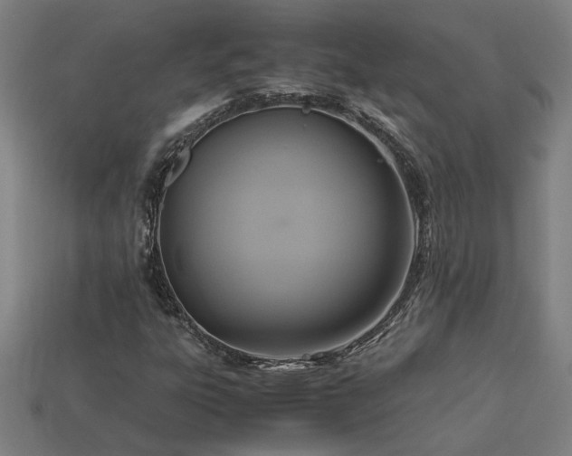 X0000113951303200909251330