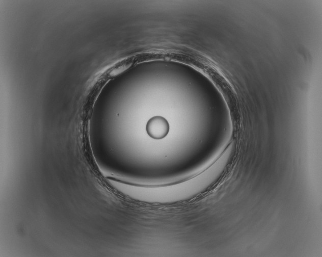 X0000113951304200909251330