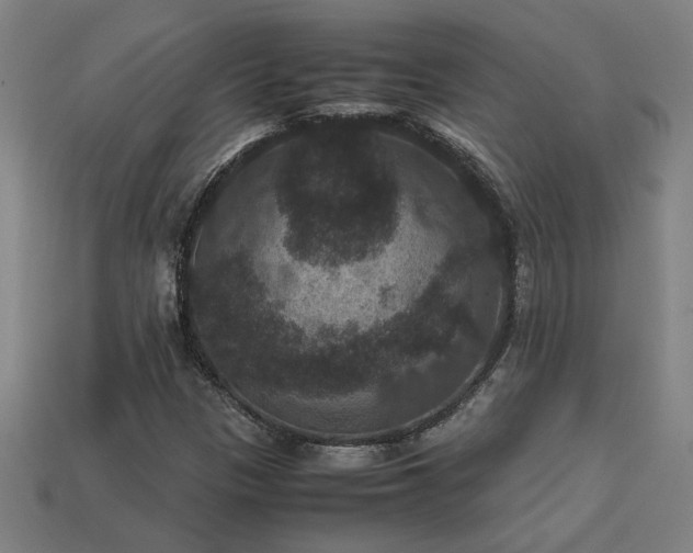 X0000113951305200909251330