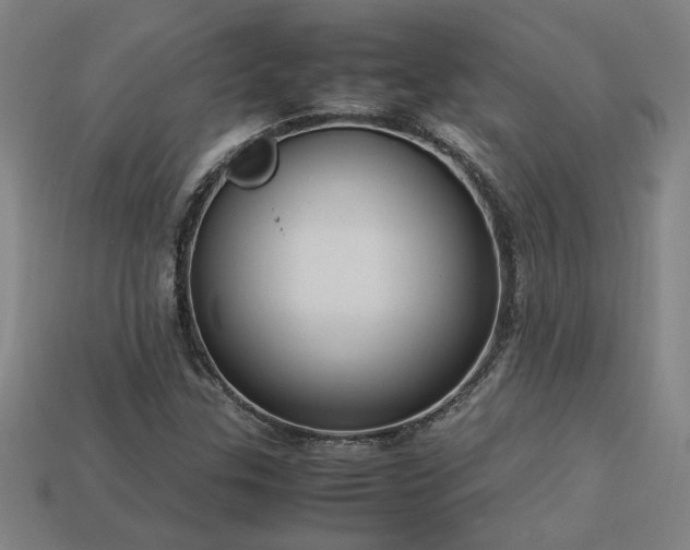 X0000113951307200909251330