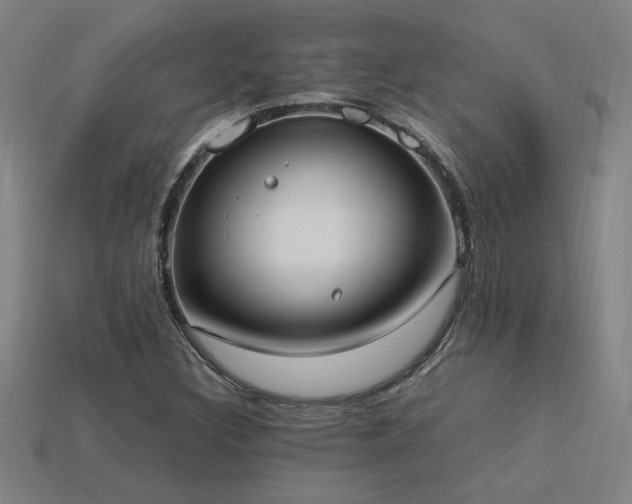 X0000113951308200909251330