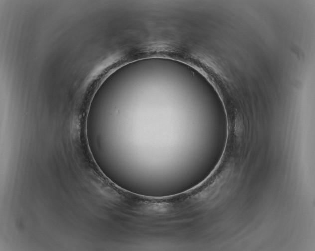 X0000113951309200909251330