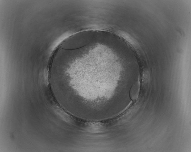 X0000113951310200909251330