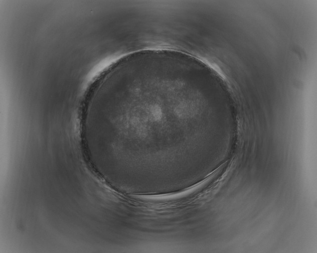 X0000113951311200909251330