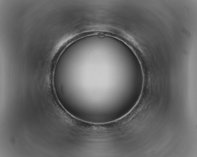 X0000113951312200909251330