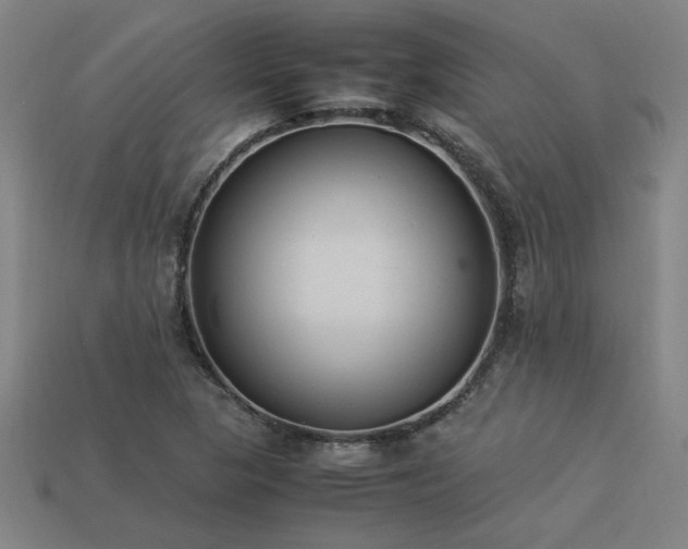 X0000113951313200909251330