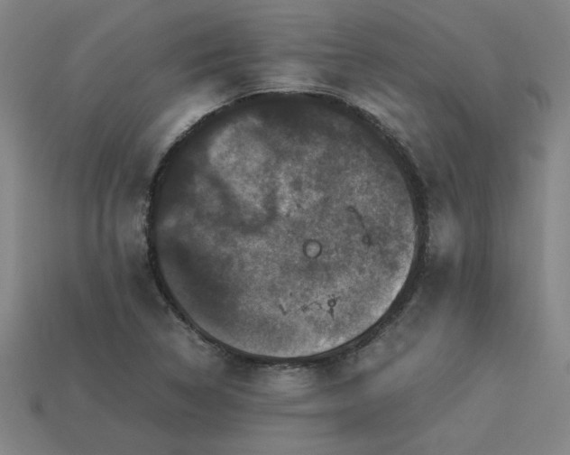 X0000113951314200909251330