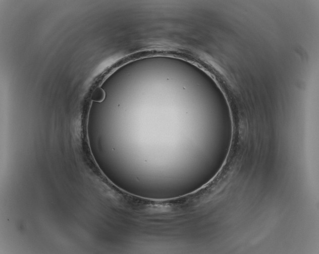 X0000113951315200909251330