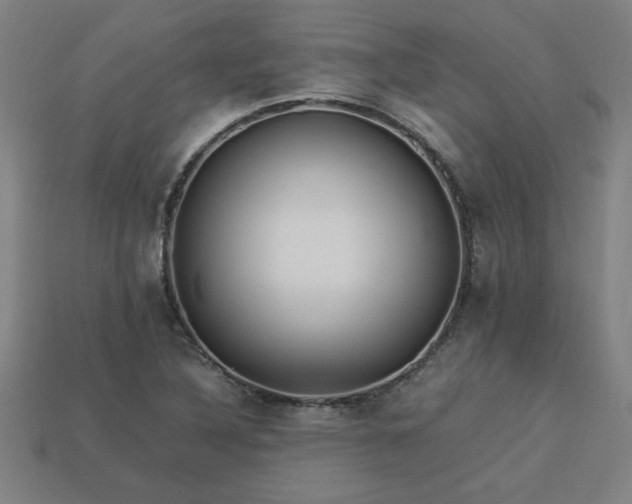 X0000113951316200909251330