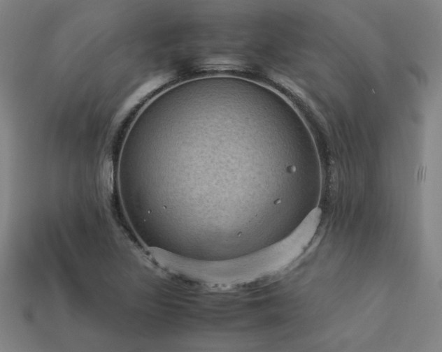 X0000113951317200909251330