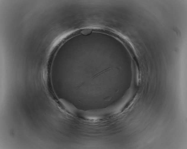 X0000113951319200909251330
