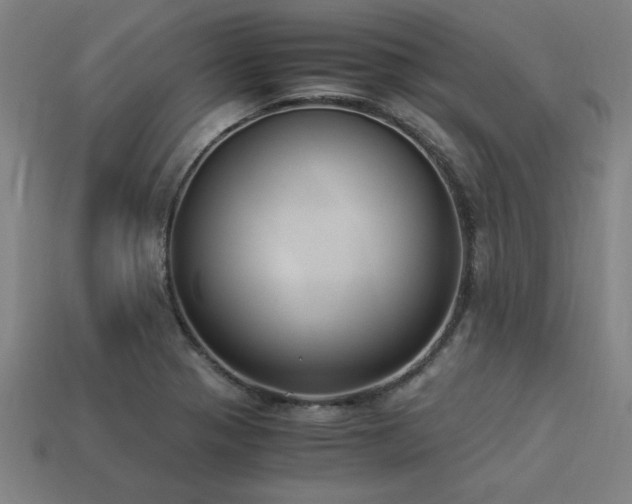 X0000113951321200909251330