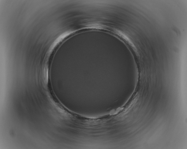 X0000113951323200909251330