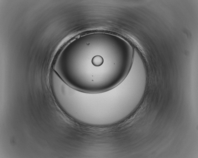 X0000113951324200909251330