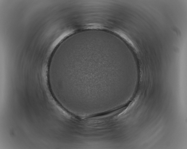 X0000113951325200909251330