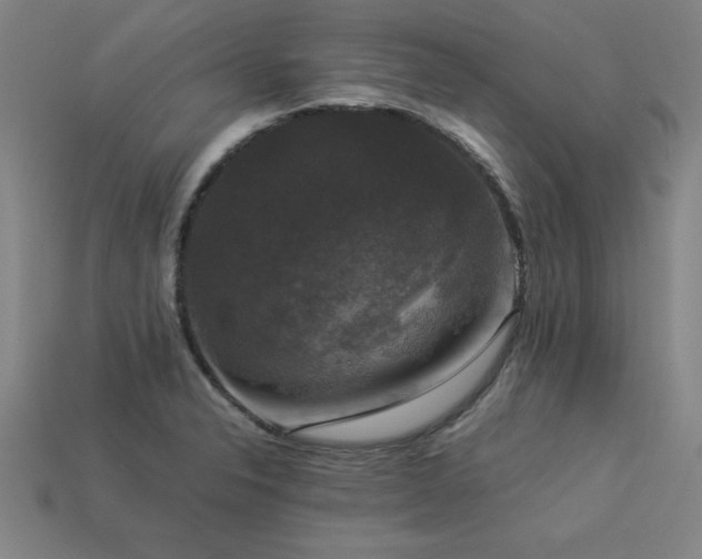 X0000113951326200909251330