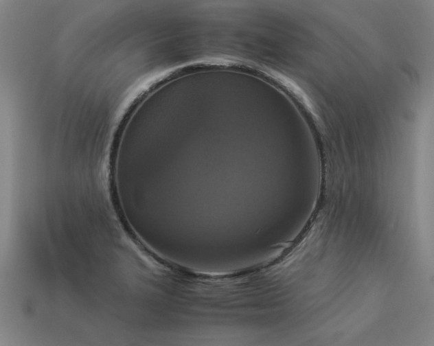 X0000113951327200909251331