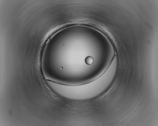 X0000113951328200909251331