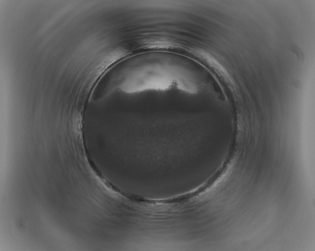 X0000113951329200909251331
