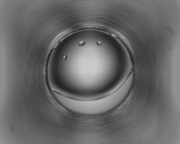 X0000113951330200909251331