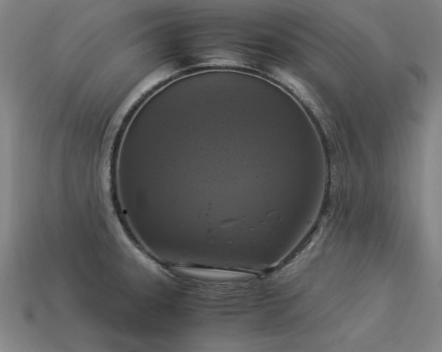 X0000113951331200909251331