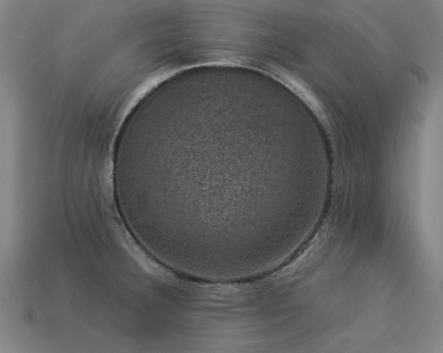 X0000113951332200909251331