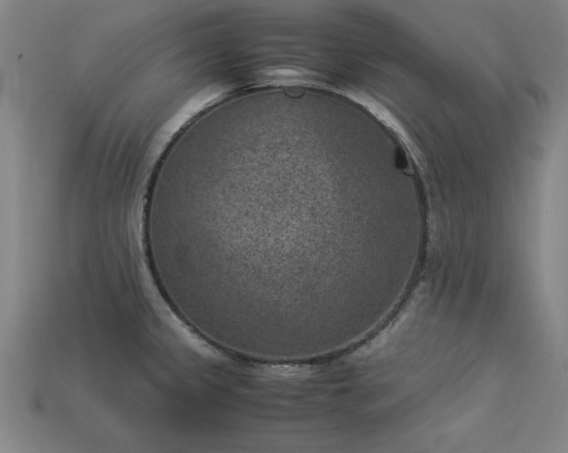 X0000113951333200909251331