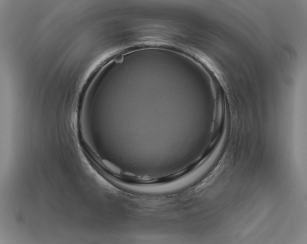 X0000113951334200909251331