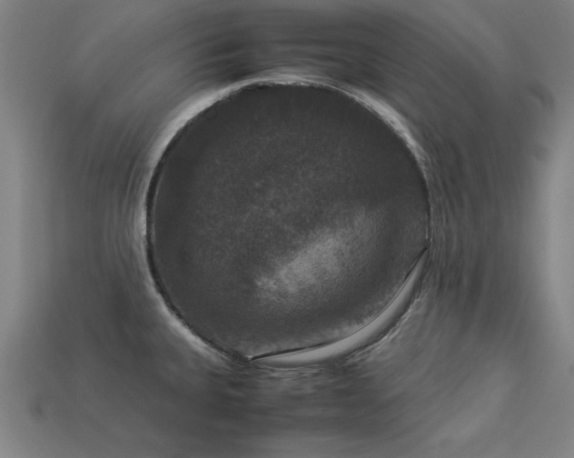 X0000113951335200909251331