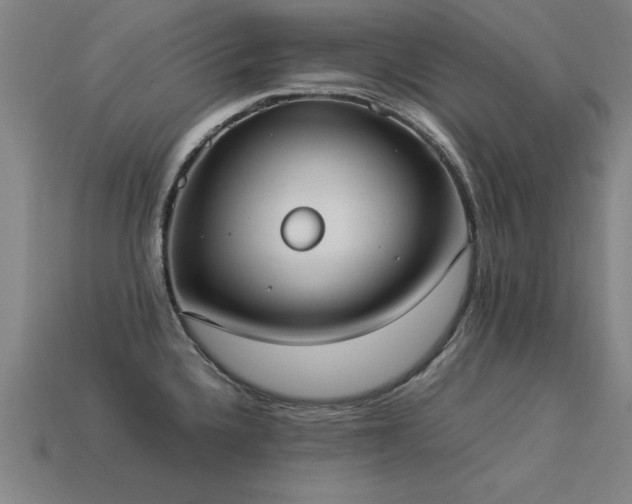 X0000113951336200909251331