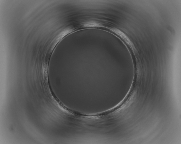 X0000113951337200909251331