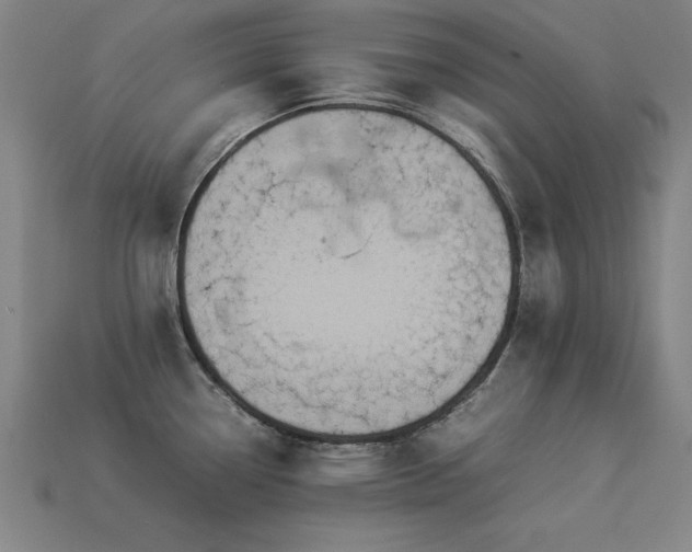 X0000113951338200909251331