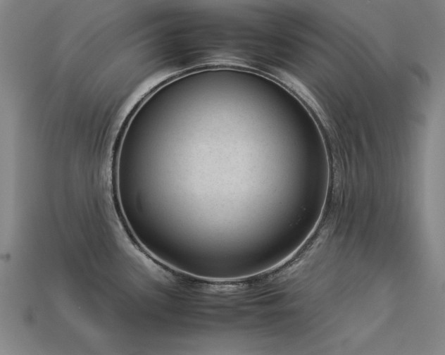 X0000113951339200909251331
