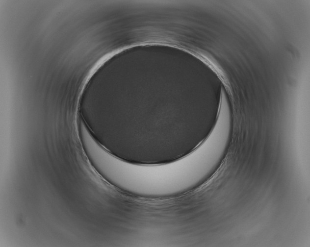X0000113951340200909251331