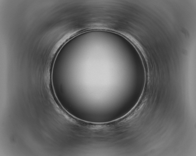 X0000113951341200909251331