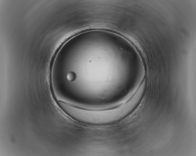 X0000113951342200909251331