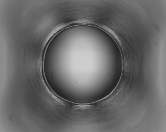 X0000113951343200909251331