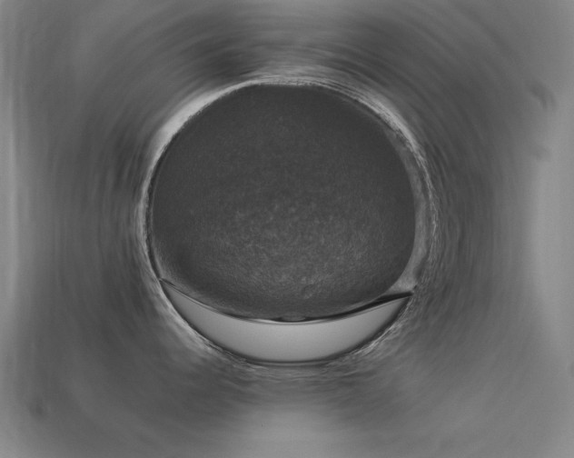 X0000113951344200909251331