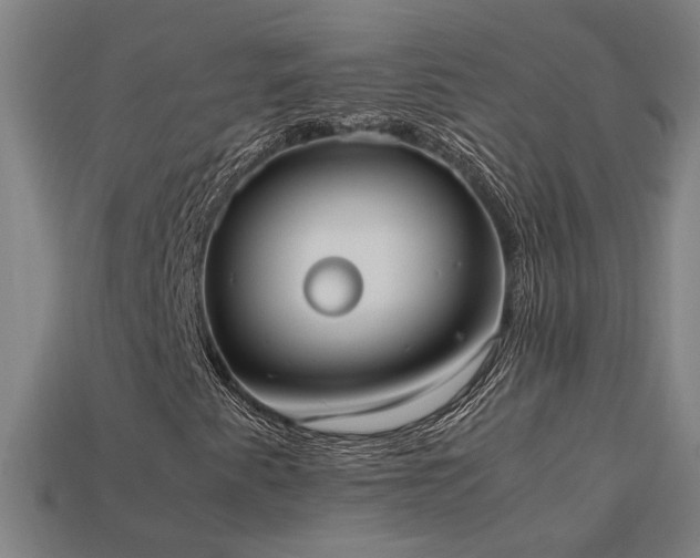 X0000113951345200909251330